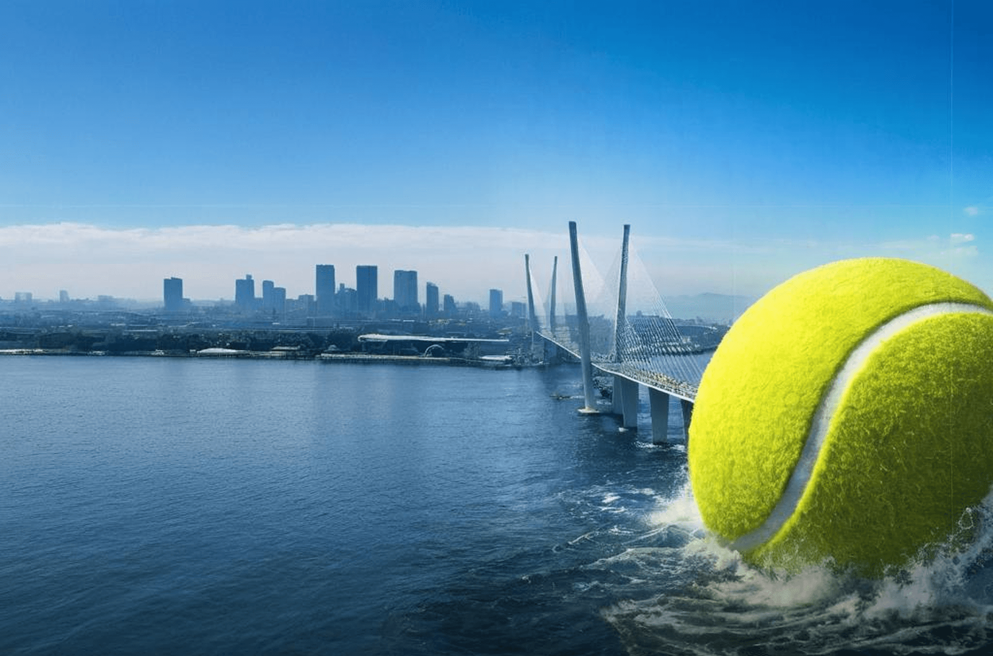 Падел во Владивостоке: от первого корта до международной карты